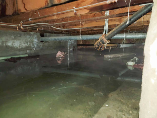 Best Flooded house restoration  in Midfield, AL