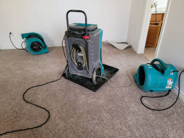 Best Basement water damage restoration  in Midfield, AL