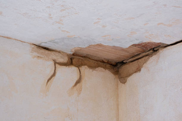 Best Fire Damage Restoration  in Midfield, AL