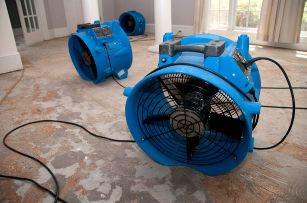 Best Water damage restoration specialists  in Midfield, AL