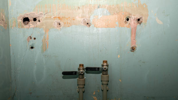 Best Ceiling water damage repair  in Midfield, AL