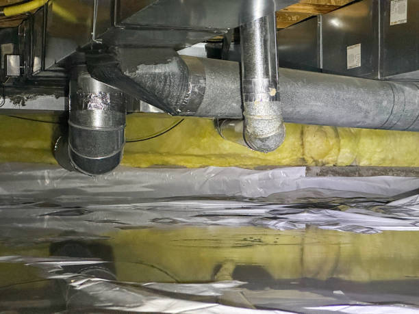 Best Carpet water damage restoration  in Midfield, AL
